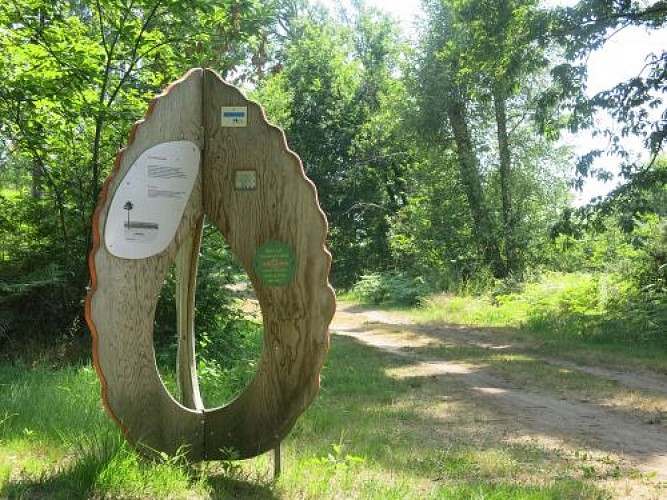 Borne sentier graine de forêt Garein