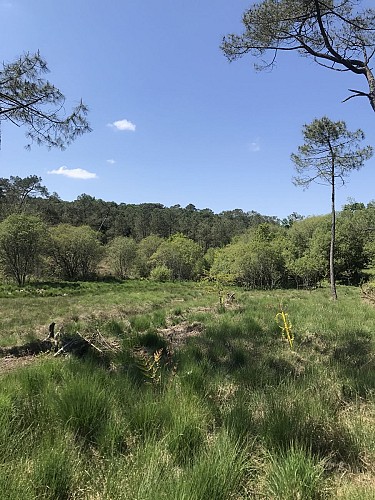 Parcours Misson 1-OTPOA