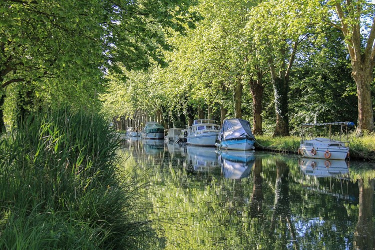 Canal - Fourques-sur-Garonne