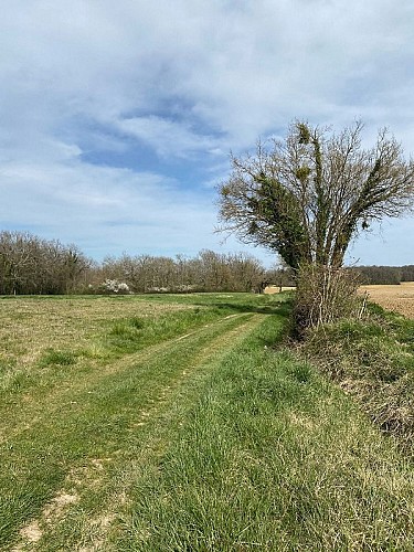 lauzun-creps-parcours vtt 1-4