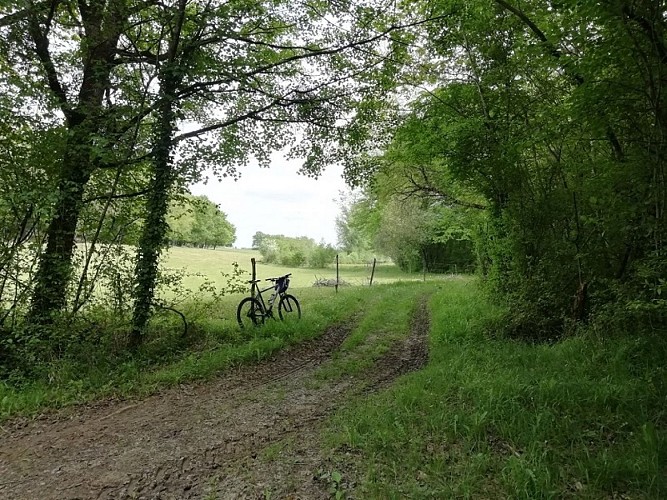 lauzun-creps-parcours vtt 1-6