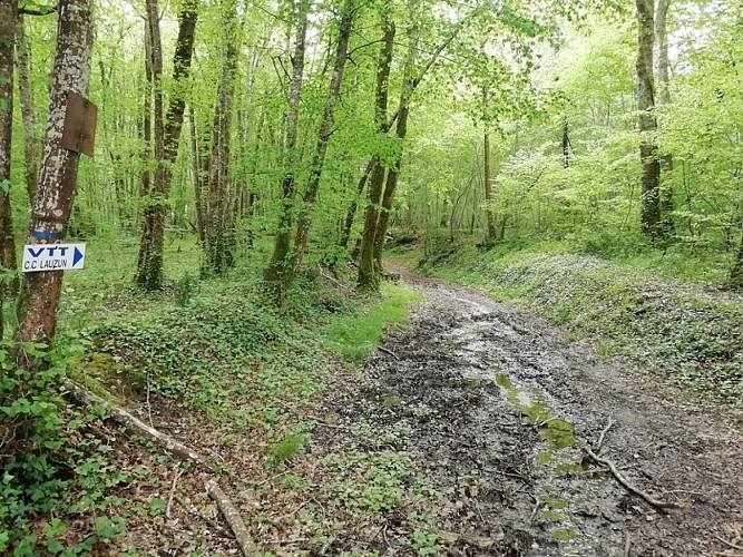 lauzun-creps-parcours vtt 1-5