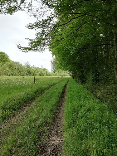 lauzun-creps-parcours vtt 1-8