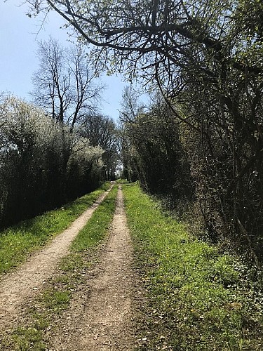 lauzun-creps-parcours vtt 2-2