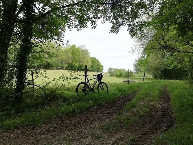 lauzun-creps-parcours vtt 4-1