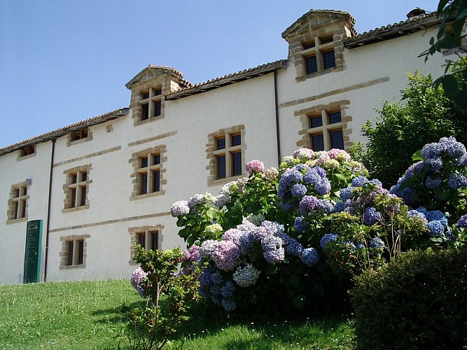 Château façade 