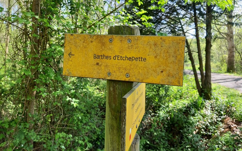 Barthes d'Etchepette Urt (2)