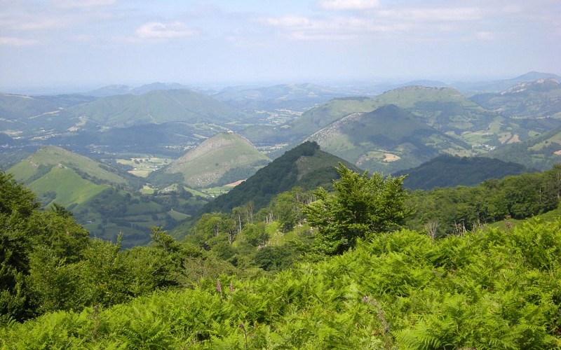 Etxebarremendi, Lexantümendi, Erretzü