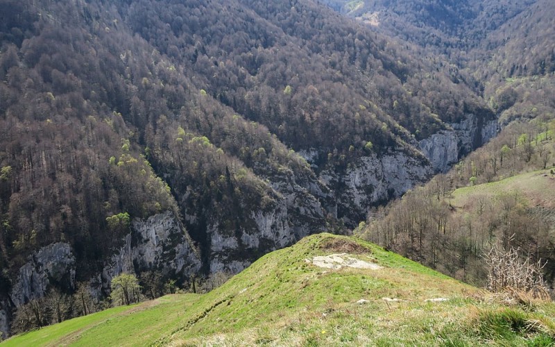 PLRV1086  belvédère sur Holtzarte avant Uztarbia