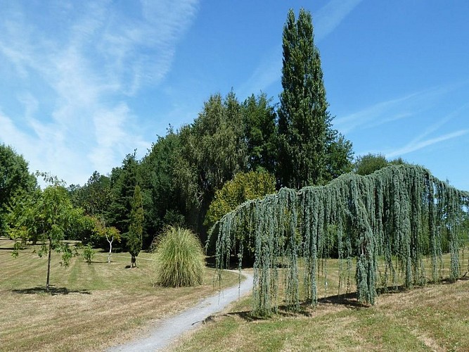 Arborétum - Serres-Castet - cph Maryse BELLANGER