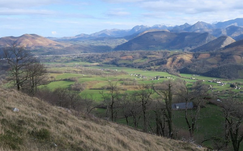 PLR V1081 vallée Ibar eskuin et Tardets au fond