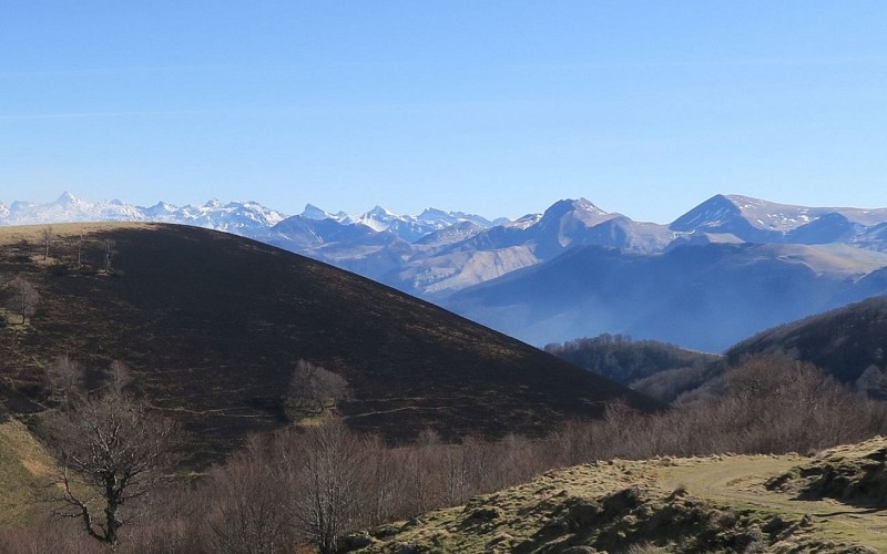 PLRV1088 vue du cayolar de Murrolatze