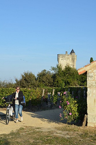 La Route du Vignoble