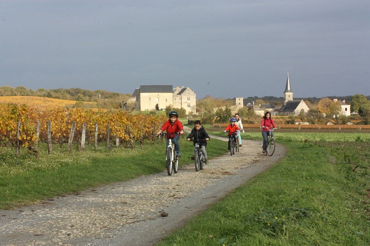 La Route du Vignoble