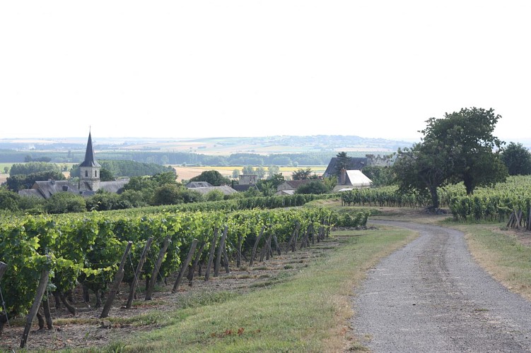 La Route du Vignoble