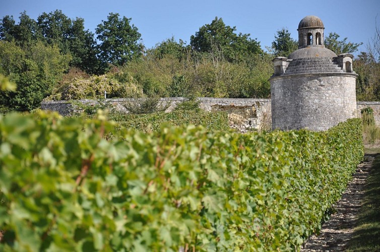 Sentier des grands chênes