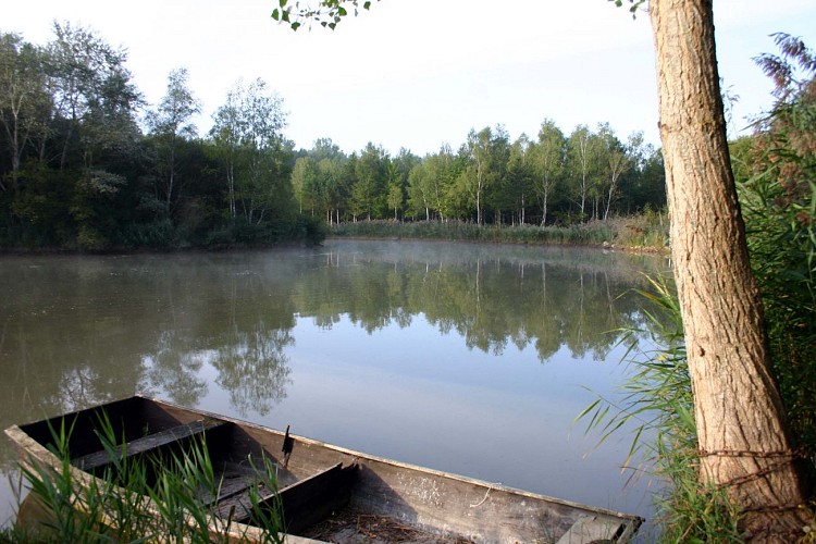 Le Grand Sentier de Scévolles