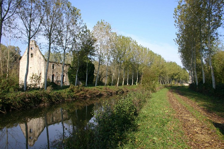 Sentier entre Dive et Troglos