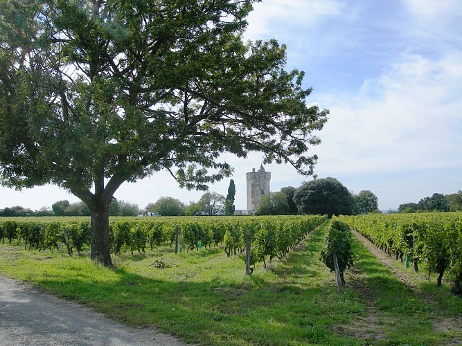 Le Sentier de la Reine Blanche