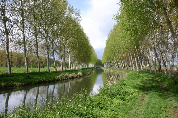 Le sentier de la reine blanche