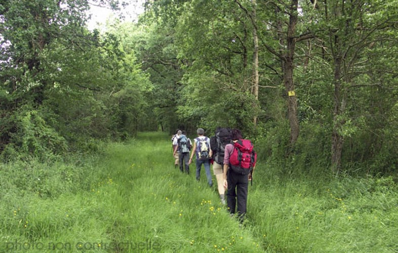 Sentier Rivières et Moulins_4