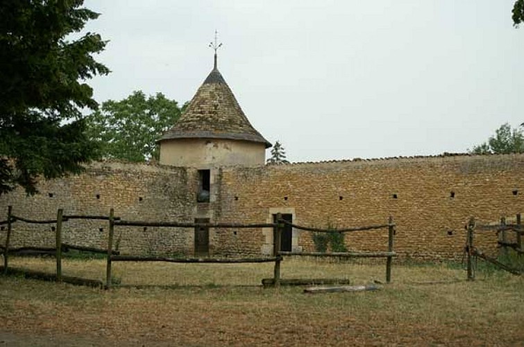 Sentier des marches du Clain_2