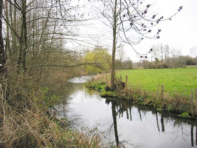 Sentier des marches du Clain_3
