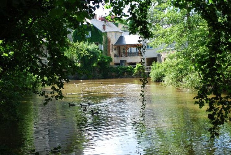 Sentier GR 48 : La Roche-Posay / Angles-sur-l'Anglin_3
