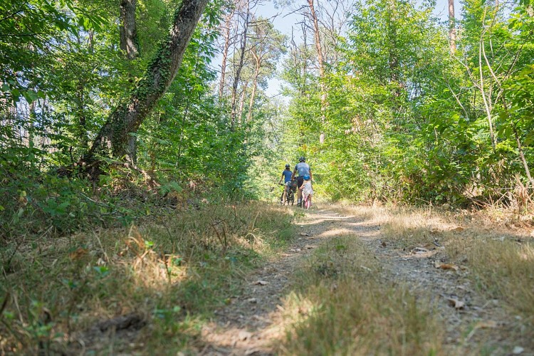 19-Velo-Antoine Paillard