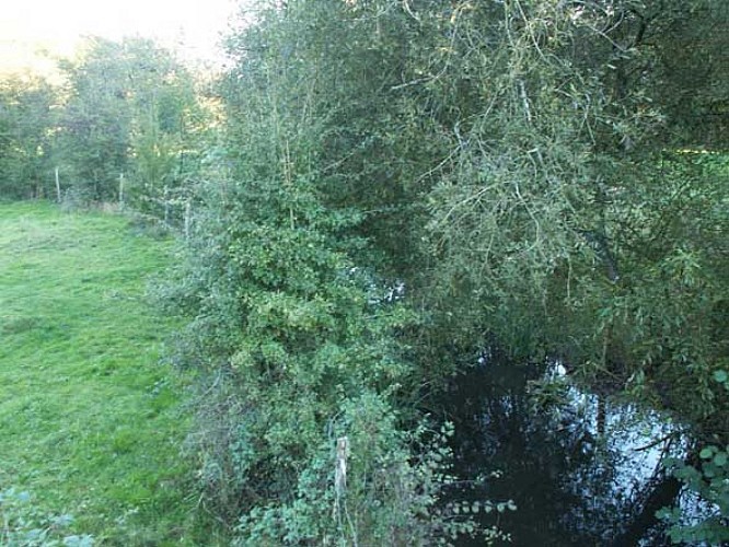 Sentier du Cornac et du Cibiou_1