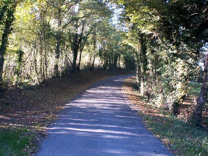 Sentier du Cornac et du Cibiou_2