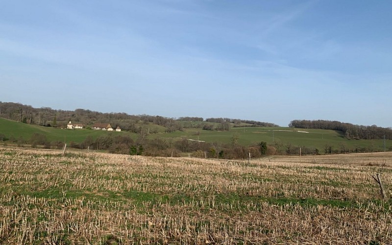 Boucle cyclotouristique La forêt de Meuzac