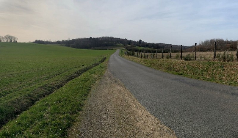 Boucle cyclotouristique La forêt de Meuzac