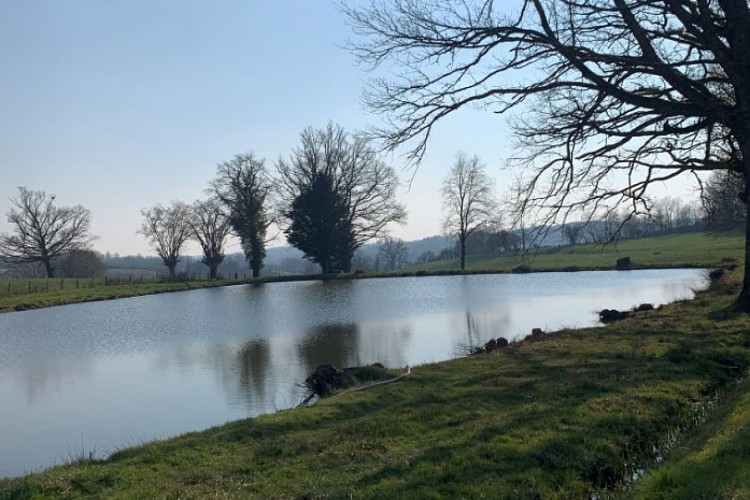 Boucle cyclotouristique Briance-Blanzou