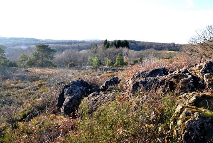 Boucle cyclotouristique Cluzeau-Fayat_2