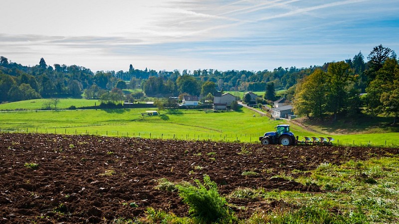 Chaptelat catalacoise 3