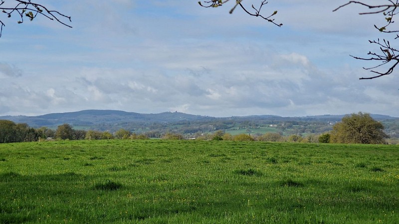 VUE SUR MONTS DES CARS