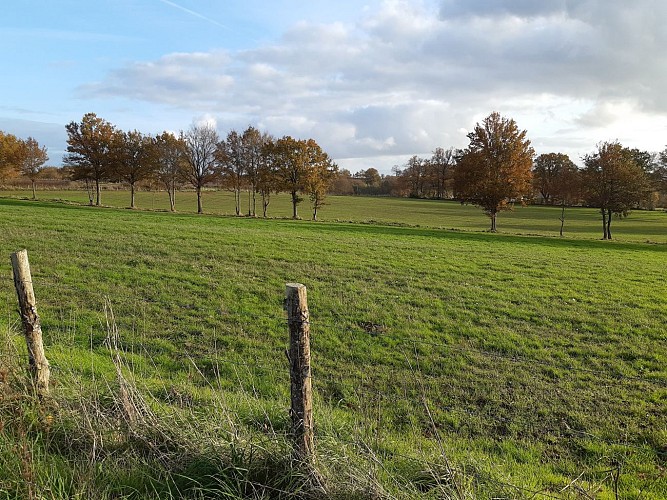 Vue sur la campagne