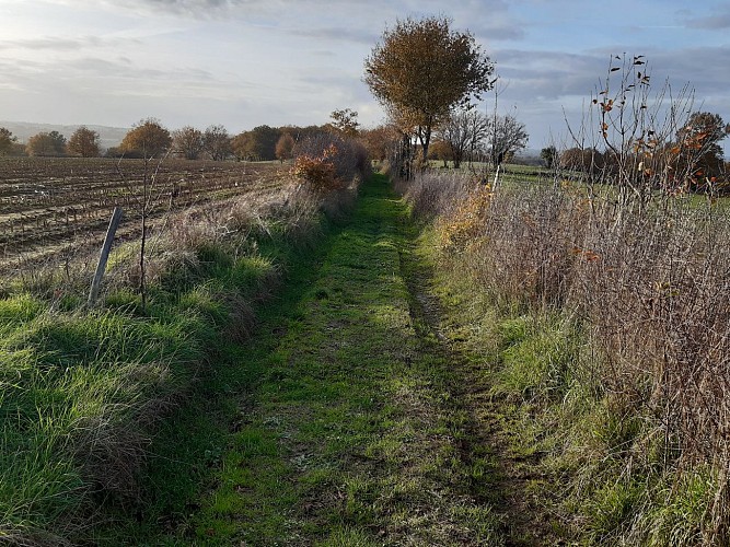 chemin creux