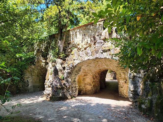 De Gazonfier au Jardin des plantes (10) FAVORIS