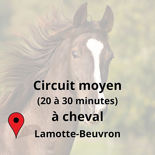 Circuit équestre / circuit moyen