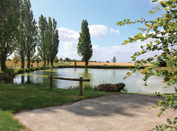 Le 11x20+14 randonnée pédestre au Mons-en-Montois, proche de Provins