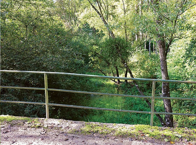 Entre solines et noue, randonnée pédestre à Hermé, proche de Provins.