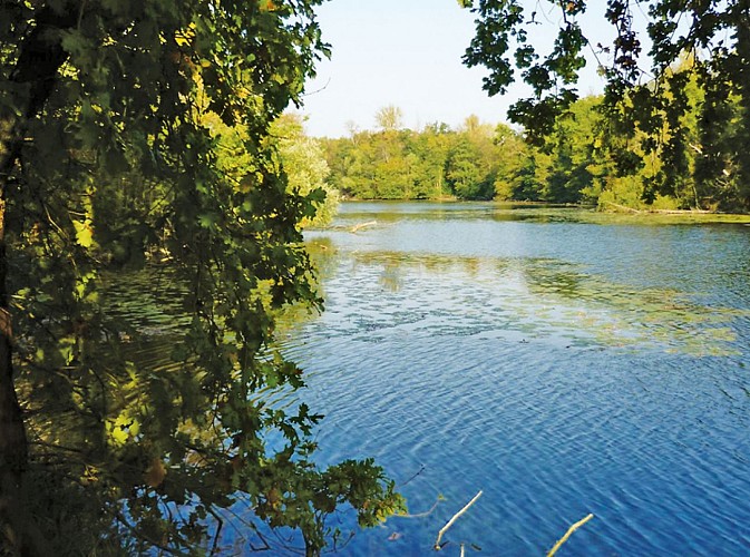 La réserve de la Bassée, randonnée pédestre à Longueville, proche de Provins