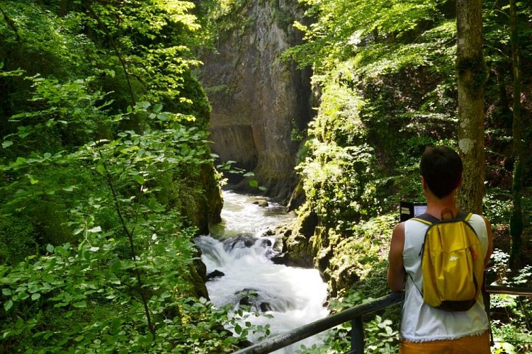 Gorges of the Saine and the Langouette