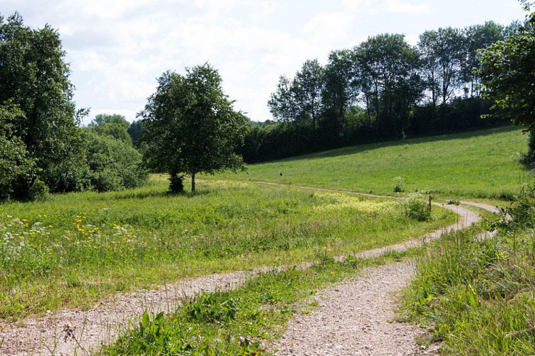 Le long de la tourbière