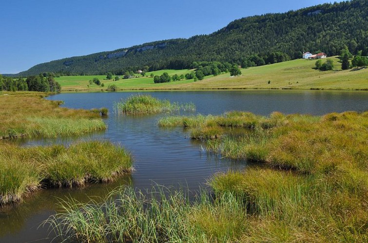 Lacs des mortes et de bellefontaine 