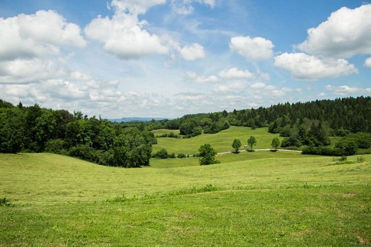 Point de vue des Jeannez