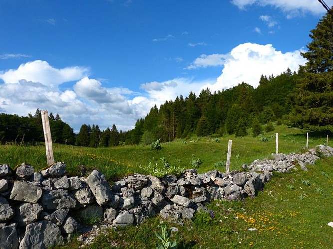 Murets 