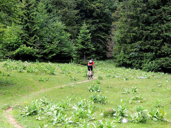 Les alpages par les crêtes